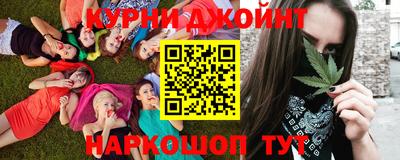 mdpv Кингисепп